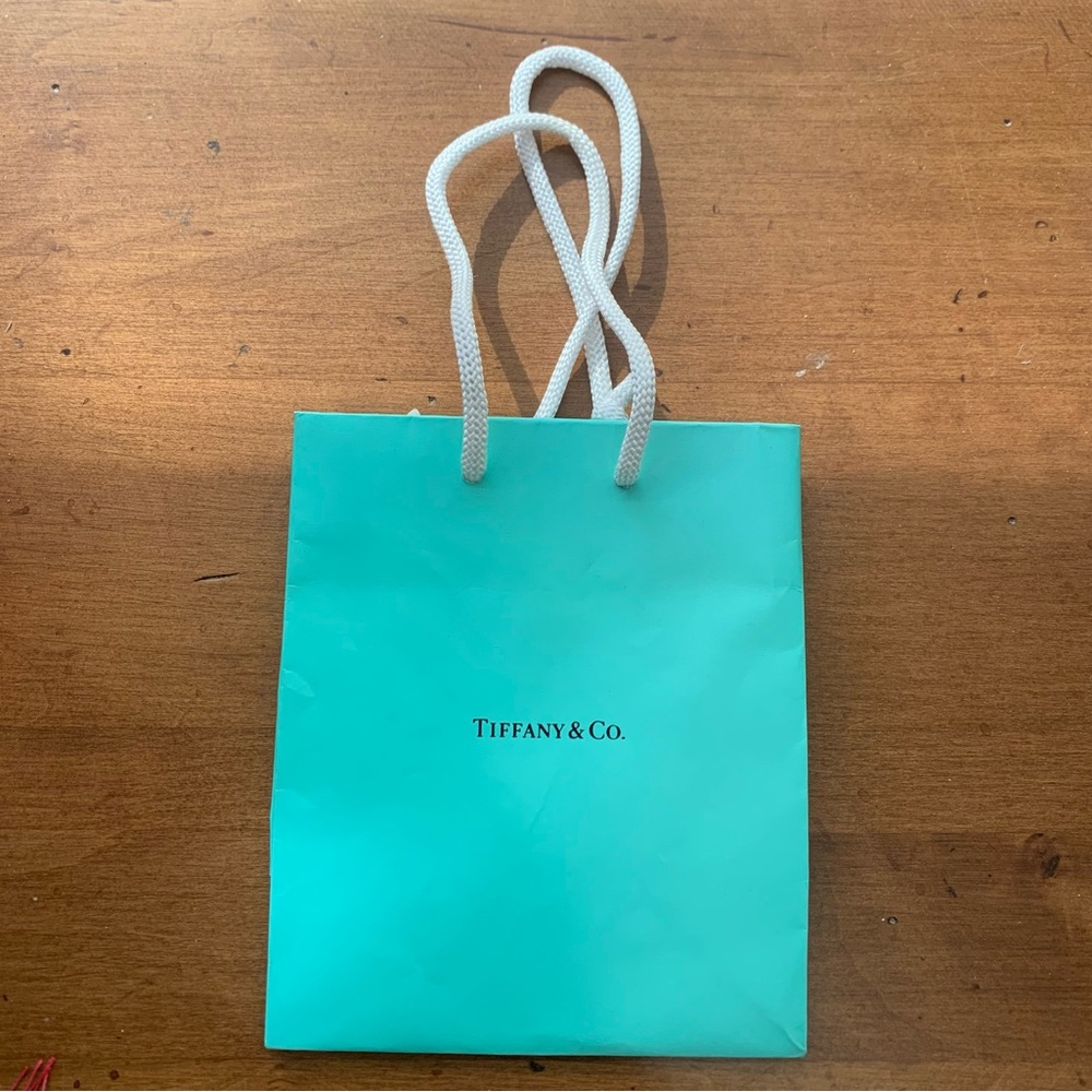 Tiffany & Co. Retro Paper Gift Shopping Bag Tiffany Blue